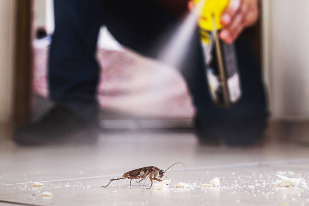 Best Wildlife Control Services  in Homeland Park, SC